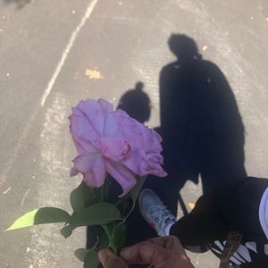 Meet your Posher, Carrie